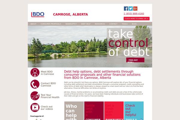 Site using BDO-debt-calculator plugin