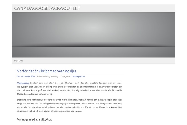 picolight theme site design template sample