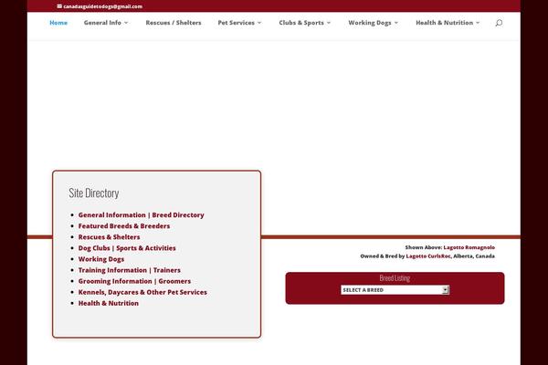 Divi Child theme site design template sample