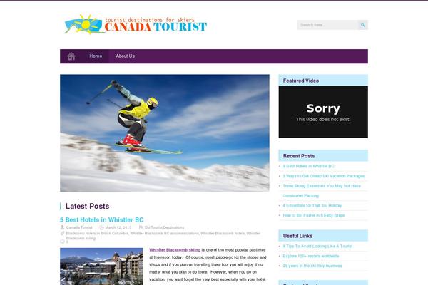 MidnightCity theme site design template sample