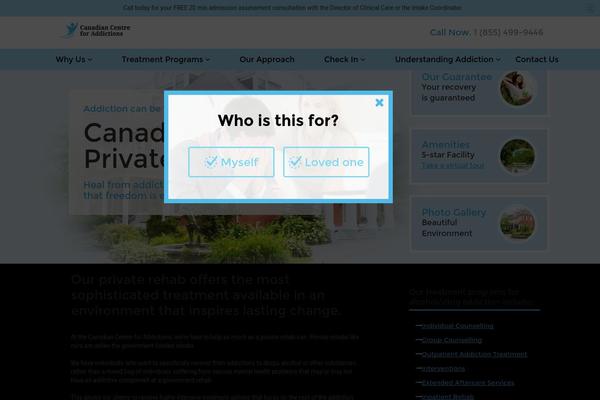 ccfa theme websites examples