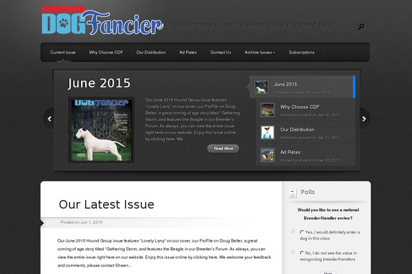 Polished theme site design template sample
