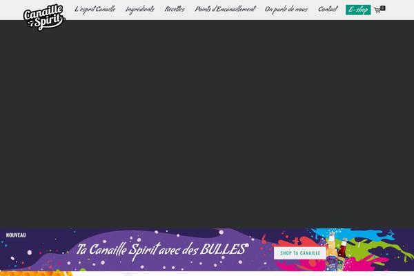 Site using Axonaut plugin