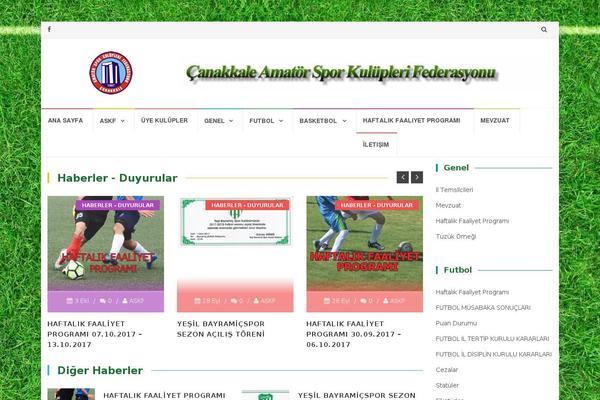 Islemag theme site design template sample