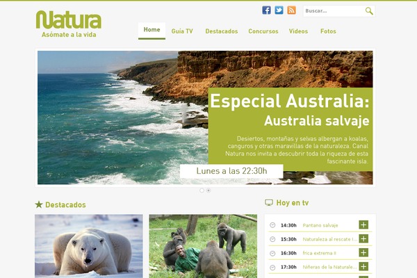 Site theme site design template sample