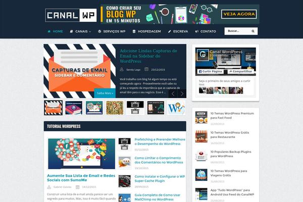 Site using Affiliate-coupons plugin