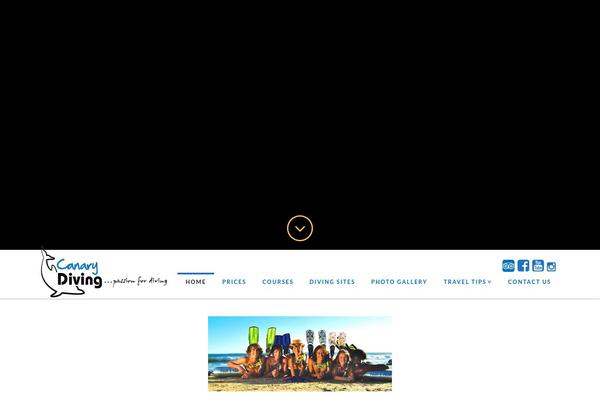Site using X-shortcodes plugin