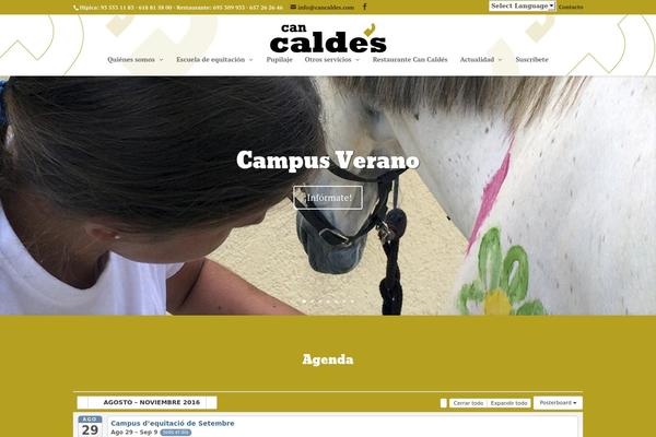 Site using Woo-custom-product-addons plugin