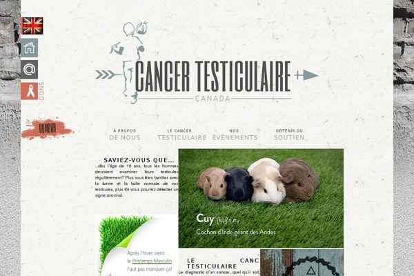 cancertesticulaire.com site used Templatekiai
