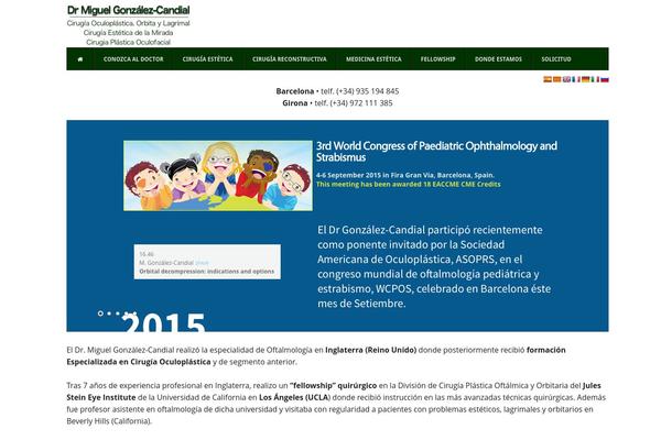 Executive Pro Theme theme site design template sample