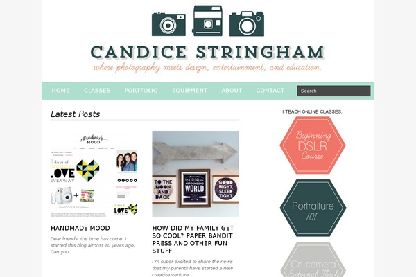 Vogue theme site design template sample