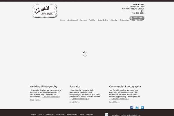 Blank-theme theme site design template sample