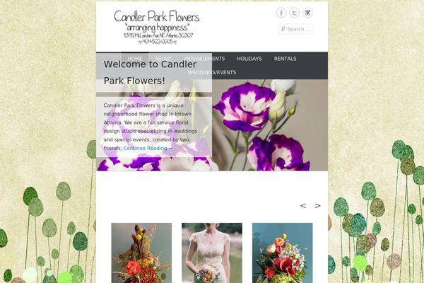Catch Everest theme site design template sample