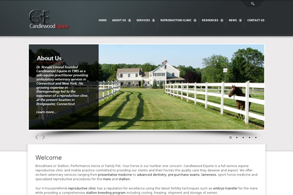 Amoveo theme site design template sample