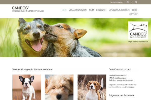 Charitas Lite theme site design template sample