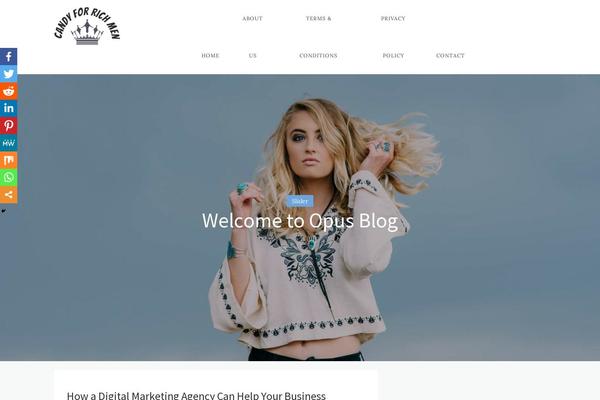 Opus Blog theme site design template sample