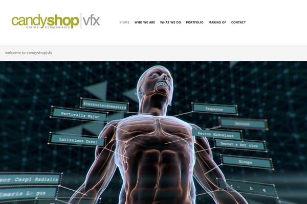 Studiofolio theme site design template sample