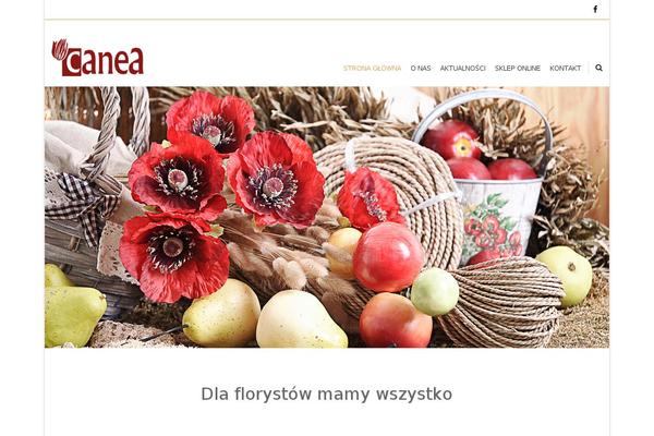 Accesspressray-pro theme site design template sample