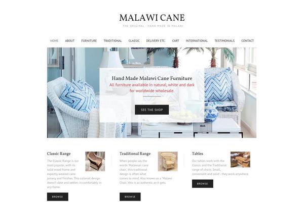 Sentinel theme site design template sample