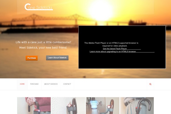 canesidekicks.com site used Avento
