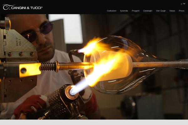 Site using RegistrationMagic-Custom Registration Forms plugin
