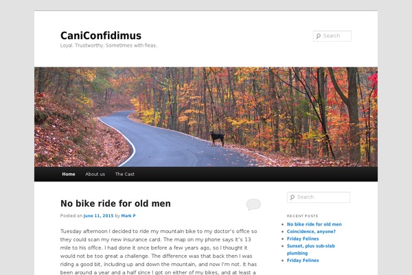 Site using Traffic Counter Widget plugin