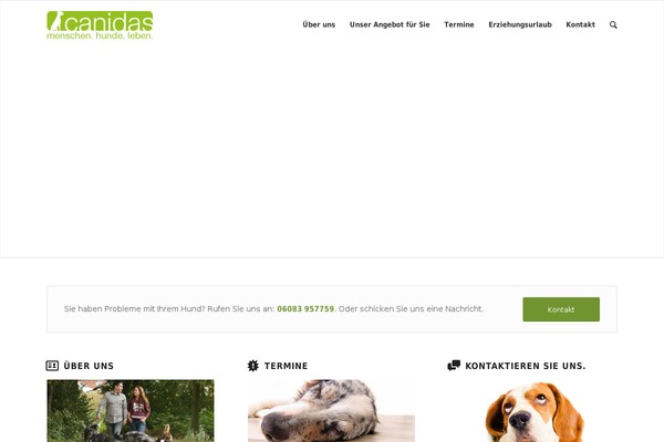 Enfold theme site design template sample