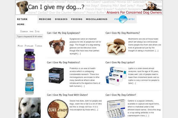 Educator theme site design template sample