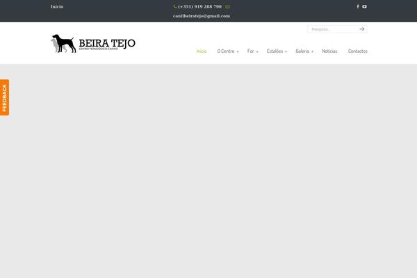 Site using Video Grid plugin