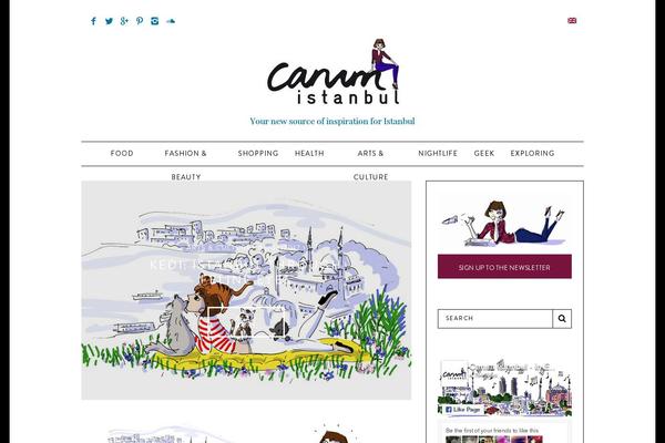 Site using Shortcodes-indep plugin