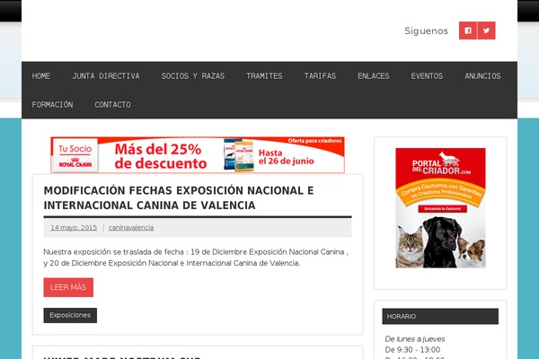 Dynamic News Lite theme site design template sample