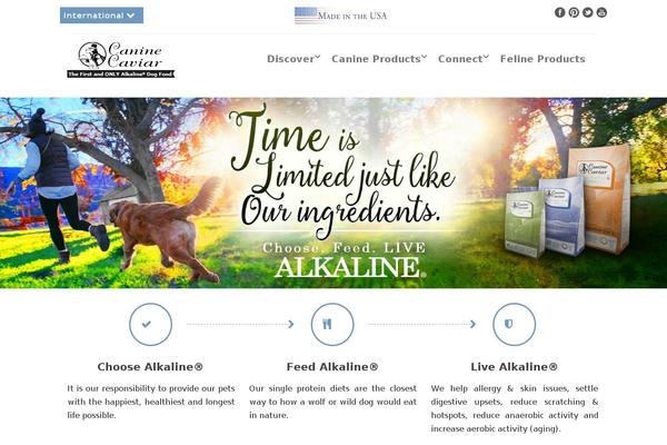 Versatile theme site design template sample