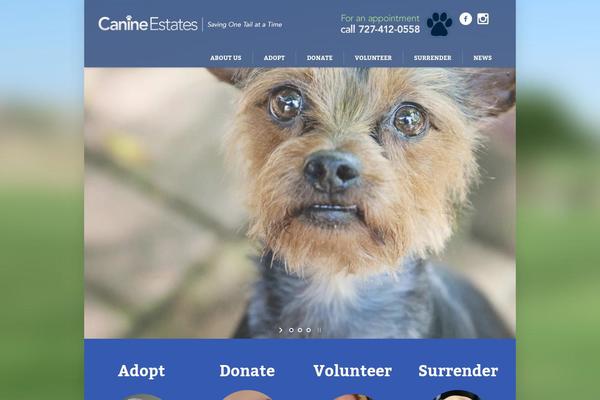 Pet-rescue theme site design template sample