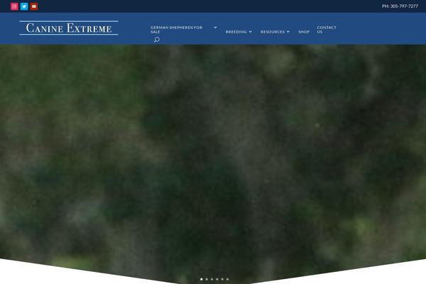 Divi Child theme site design template sample