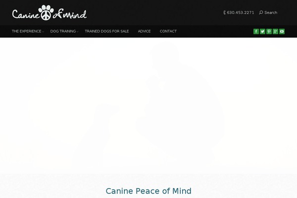 Site using Dt-the7-core plugin
