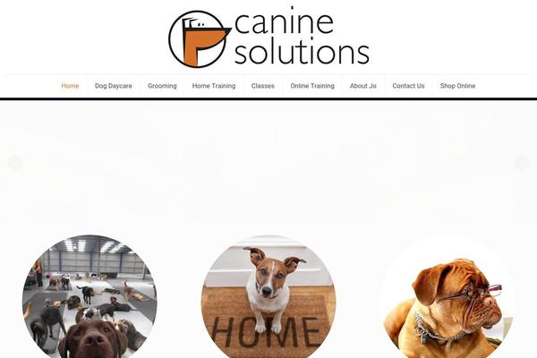Site using Theplus_addon plugin