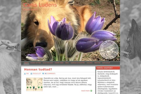 Travel Blogger theme site design template sample