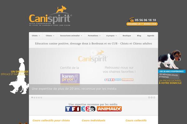 Akita theme site design template sample