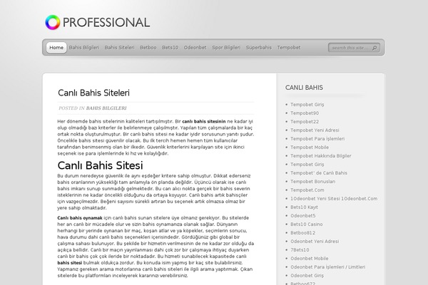 TheProfessional theme site design template sample