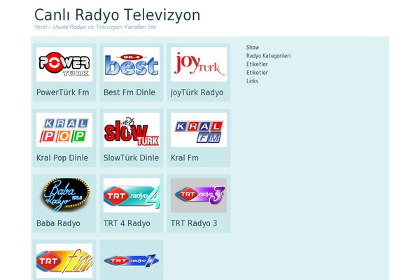 crt theme websites examples