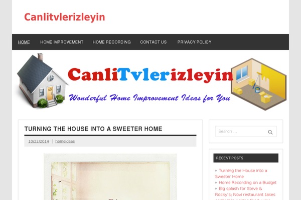 Dynamic News Lite theme site design template sample