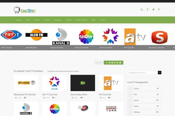 BeeTube theme site design template sample