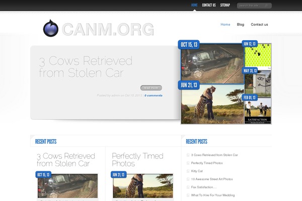 DelicateNews theme site design template sample