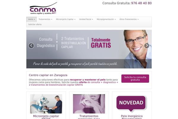 CyberChimps Pro theme site design template sample