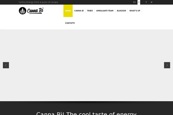 Sympathique theme site design template sample