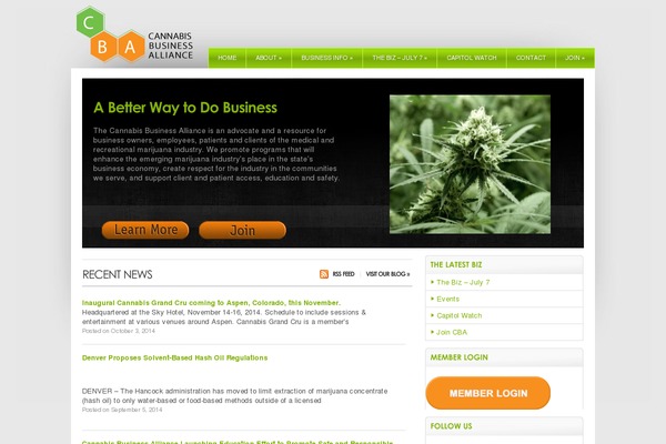 Wisebusiness theme site design template sample