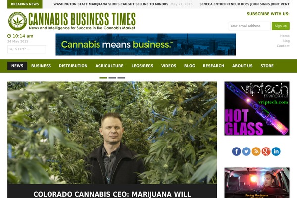 headline-news-child theme websites examples