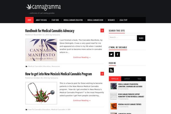 Hiero-child theme site design template sample