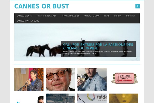 Magazino theme site design template sample