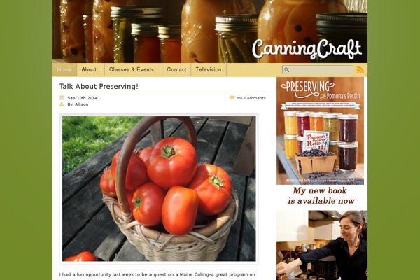 iCandy theme site design template sample